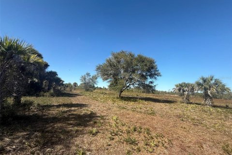 Land in Okeechobee, Florida № 2125697 - photo 12