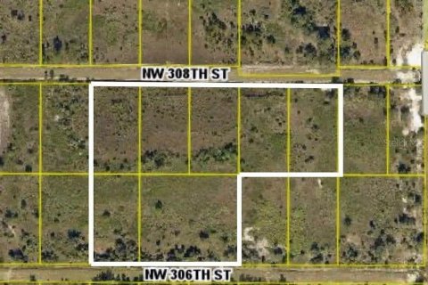 Land in Okeechobee, Florida № 2125697 - photo 3