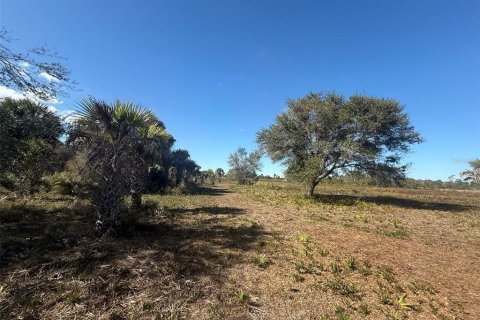 Land in Okeechobee, Florida № 2125697 - photo 13