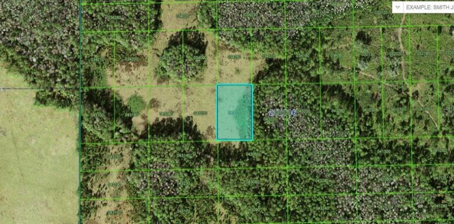 Land in Polk City, Florida № 2158907