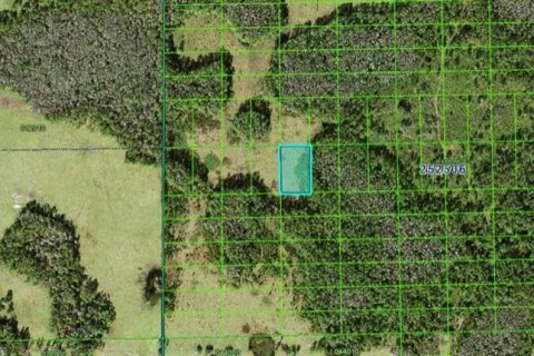 Land in Polk City, Florida № 2158907 - photo 3