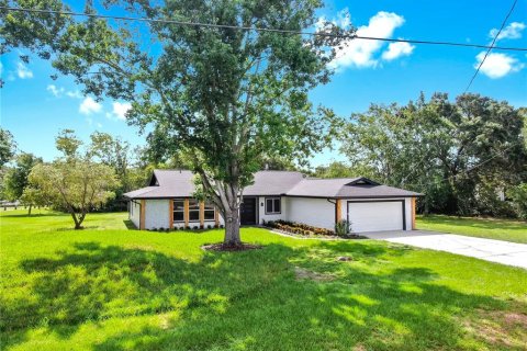 House in Tampa, Florida 4 bedrooms, 233.84 sq.m. № 1789726 - photo 3