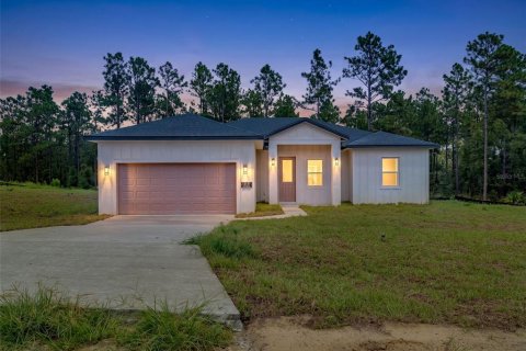 Villa ou maison à Ocala, Floride 4 chambres, 169.08 m2 № 2358176