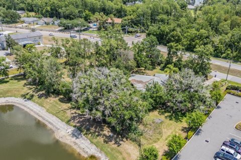 Casa en venta en Lutz, Florida, 3 dormitorios, 170.57 m2 № 2102454 - foto 21