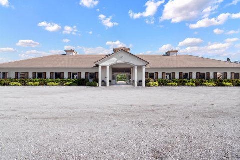Casa en venta en Wellington, Florida, 4 dormitorios, 432.92 m2 № 2170677 - foto 11