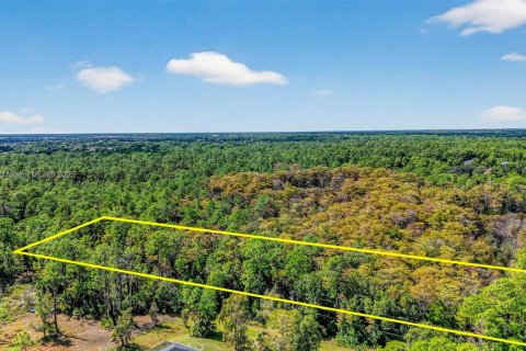 Terreno en venta en Naples, Florida № 2016476 - foto 8