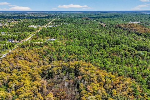 Terreno en venta en Naples, Florida № 2016476 - foto 13
