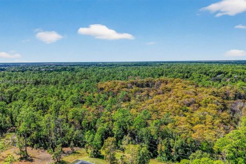 Terreno en venta en Naples, Florida № 2016476 - foto 9