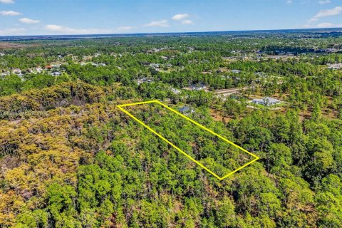 Terreno en venta en Naples, Florida № 2016476 - foto 16