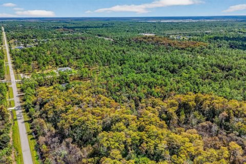Terreno en venta en Naples, Florida № 2016476 - foto 18