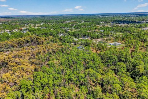 Terreno en venta en Naples, Florida № 2016476 - foto 15