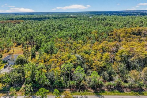 Terreno en venta en Naples, Florida № 2016476 - foto 11