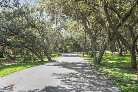 Land in Winter Springs, Florida № 1389303 - photo 11