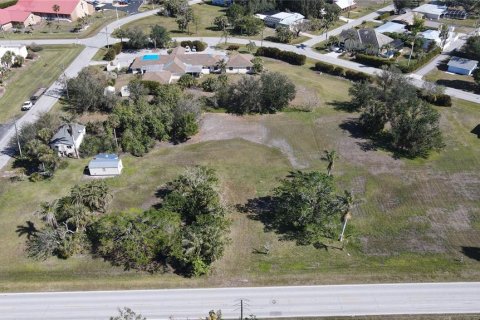 Terrain à vendre à Punta Gorda, Floride № 1520161 - photo 13