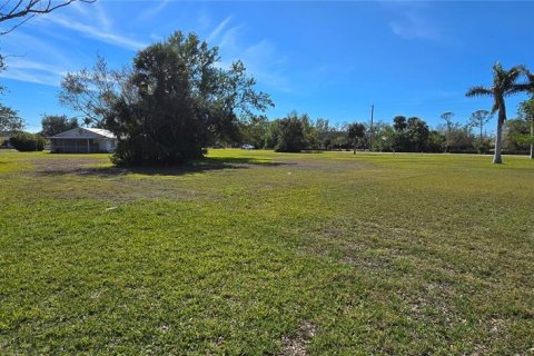 Terrain à vendre à Punta Gorda, Floride № 1520161 - photo 7