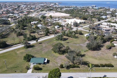 Terrain à vendre à Punta Gorda, Floride № 1520161 - photo 11