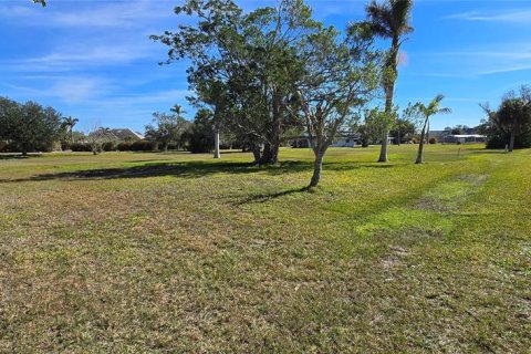 Terrain à vendre à Punta Gorda, Floride № 1520161 - photo 6