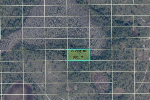 Land in Orlando, Florida № 2217889 - photo 3