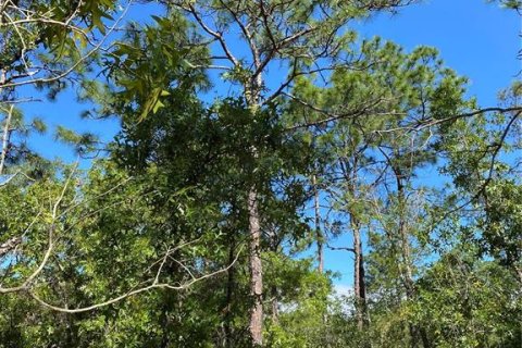 Land in Brooksville, Florida № 1883645 - photo 3