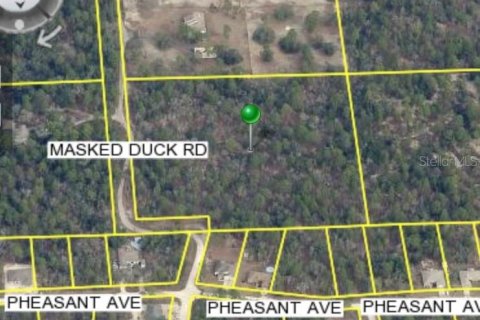 Land in Brooksville, Florida № 1883645 - photo 1