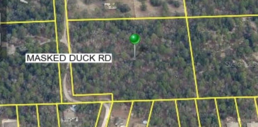 Land in Brooksville, Florida № 1883645