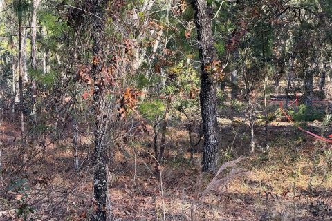 Land in Brooksville, Florida № 1883645 - photo 4