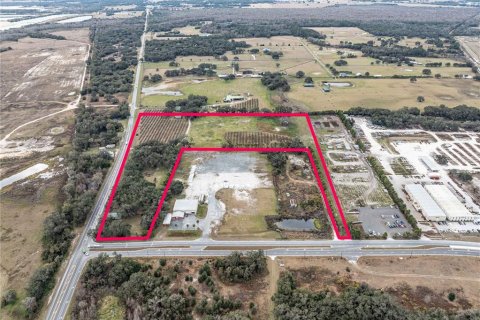 Купить земельный участок в Самтер, Флорида № 1510712 - фото 7