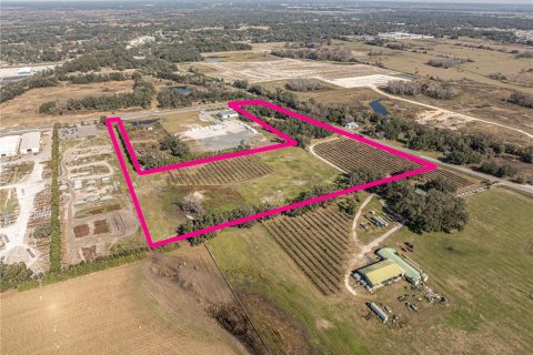 Купить земельный участок в Самтер, Флорида № 1510712 - фото 3