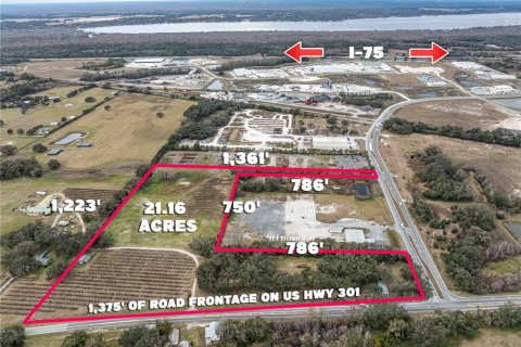 Купить земельный участок в Самтер, Флорида № 1510712 - фото 5