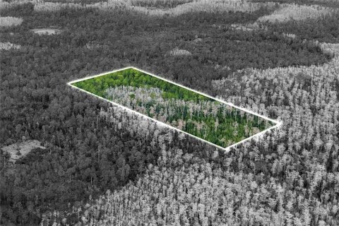 Land in Orlando, Florida № 2096918