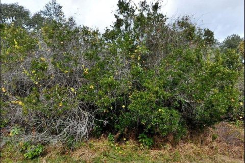 Land in North Port, Florida № 2211232 - photo 2
