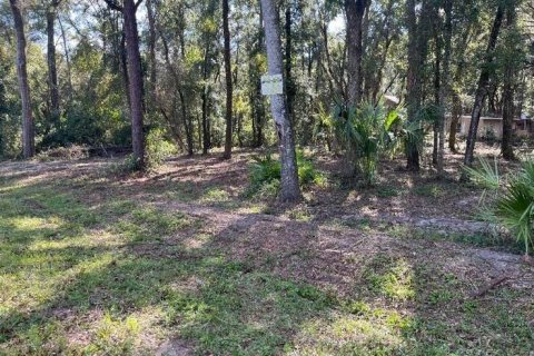 Terreno en venta en Fanning Springs, Florida № 1394026 - foto 1