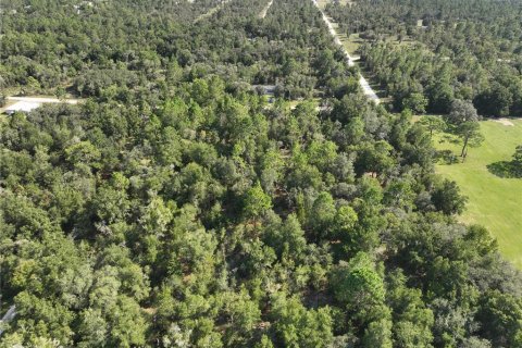 Terrain à vendre à Williston, Floride № 1915956 - photo 10
