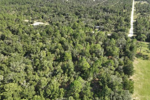 Terrain à vendre à Williston, Floride № 1915956 - photo 11