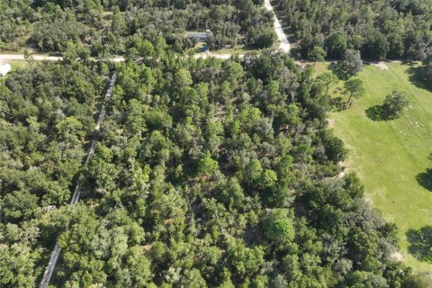 Terrain à vendre à Williston, Floride № 1915956 - photo 8