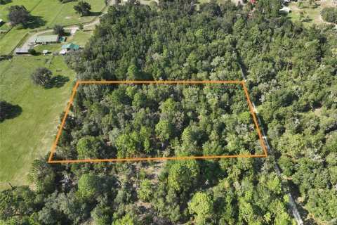 Terrain à vendre à Williston, Floride № 1915956 - photo 7