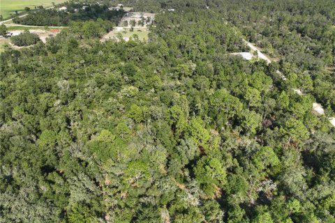 Terrain à vendre à Williston, Floride № 1915956 - photo 12