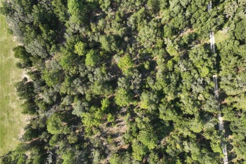 Terrain à vendre à Williston, Floride № 1915956 - photo 13