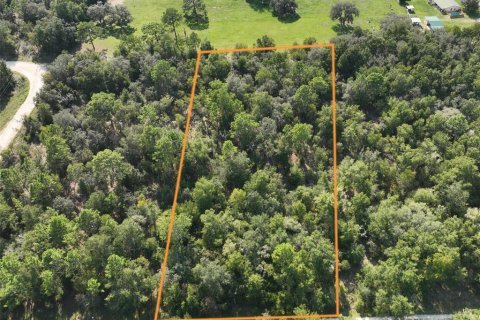 Terrain à vendre à Williston, Floride № 1915956 - photo 6