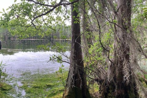 Terreno en venta en Lee, Florida № 1898518 - foto 1