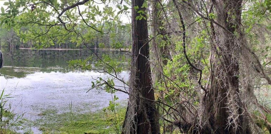 Terreno en Lee, Florida № 1898518