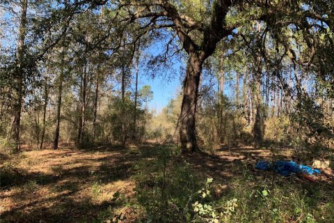 Terreno en venta en Lee, Florida № 1898518 - foto 2
