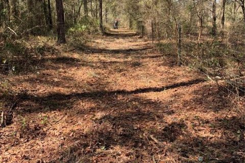 Terreno en venta en Lee, Florida № 1898518 - foto 6