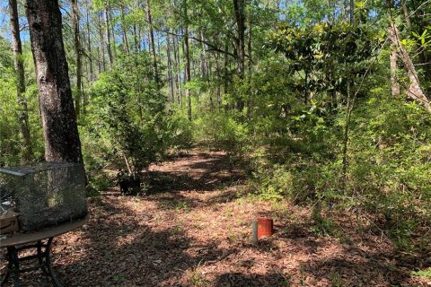 Terreno en venta en Lee, Florida № 1898518 - foto 5