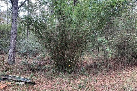 Terreno en venta en Lee, Florida № 1898518 - foto 7