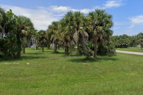Land in Punta Gorda, Florida № 1613477 - photo 3