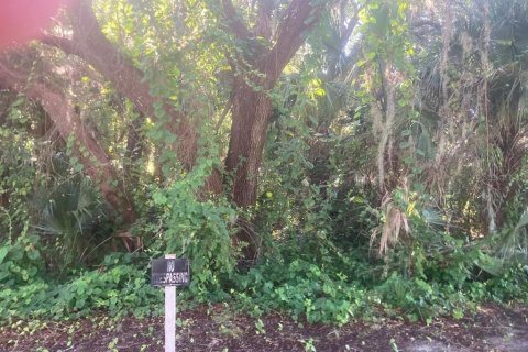 Terreno en Oak Hill, Florida № 2204620