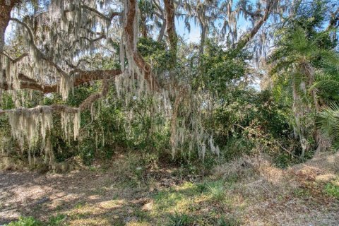 Terrain à Montverde, Floride № 2135807