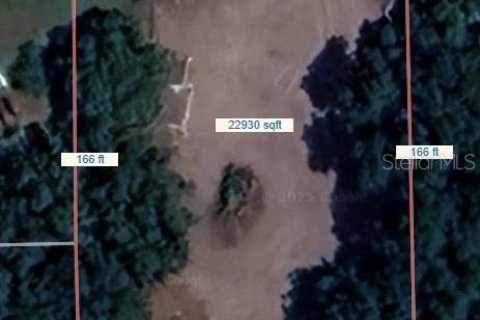 Land in Lake Helen, Florida № 1771276 - photo 6