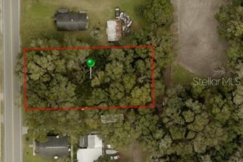 Land in Lake Helen, Florida № 1771276 - photo 3